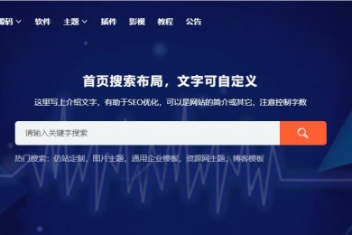 资源网/源码网主题专业版