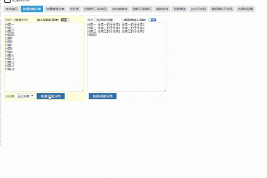 SEO站群程序工具箱 (泛解析,泛目录,蜘蛛池)