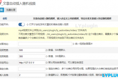 LY_文章自动插入随机视频