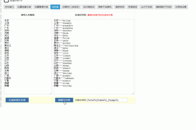 SEO站群程序工具箱 (泛解析,泛目录,蜘蛛池)