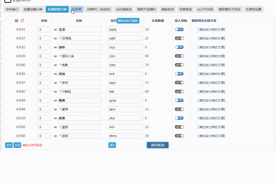 SEO站群程序工具箱 (泛解析,泛目录,蜘蛛池)