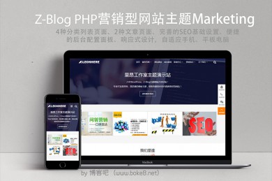 营销公司网站主题zbmarketing