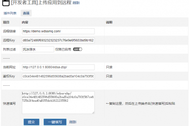 「开发者工具」上传应用到远程